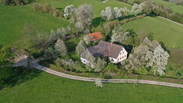 Obergraben Flugaufnahme, © Andrea Stiftner Aerial view of a farm surrounded by blossoming trees and green meadows.