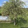 Garten beim Haus Karner, © Haus Karner Garten beim Haus Karner, © Haus Karner