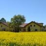 Front view of the house, © eigene Yellow house with red roof behind a flowering rape field.