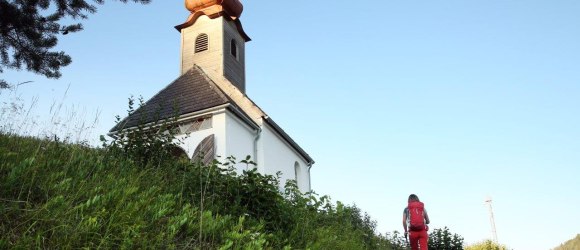 On historical paths, © weinfranz.at On historical paths, © weinfranz.at