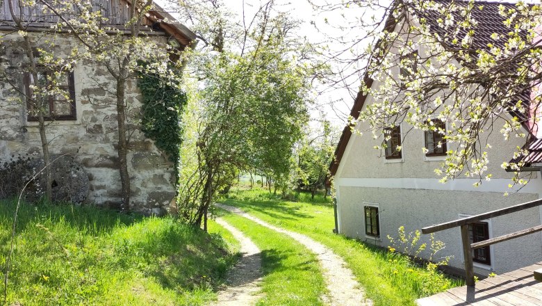 IMG_20230501_110835, © Andrea Stiftner A country path between two houses, surrounded by blossoming trees and green grass.