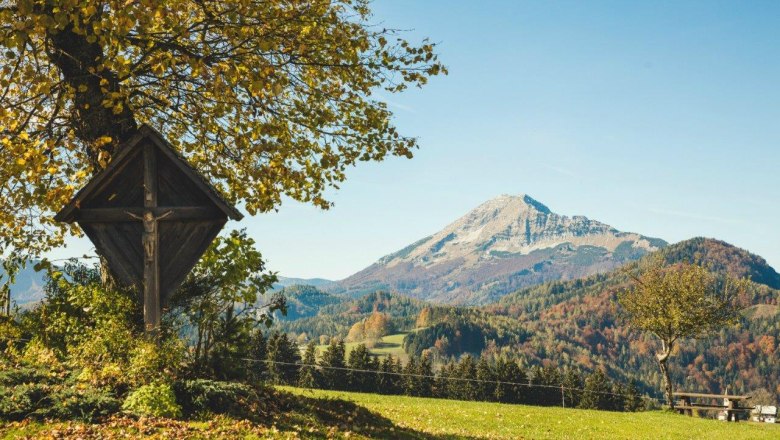 Autumn on Joachimsberg, © Fred Lindmoser Autumn on Joachimsberg, © Fred Lindmoser