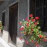 Goose wader, © zVg Gänswoader Flowers on a window of an old house.