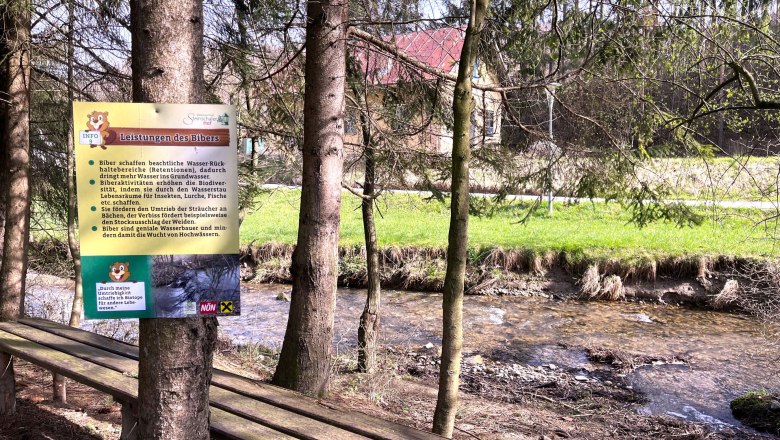 Water point, © "Natur im Garten" A sign about beaver services at a stream in the forest.
