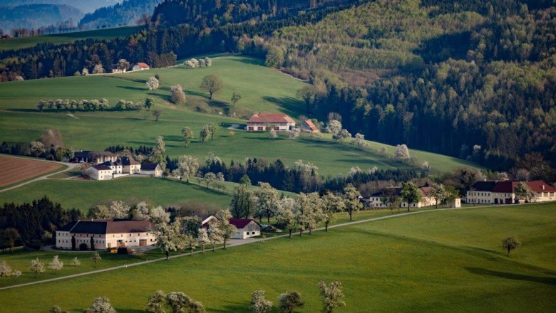 Photo point Karl Lammerhuber View, © schwarz-koenig.at Photo point Karl Lammerhuber View, © schwarz-koenig.at