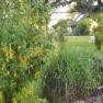 Wieselmayer, © Familie Wieselmayer Garden with green plants and meadow