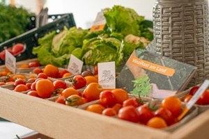 Vegetables, © Thomas Vostandlechner Vegetables, © Thomas Vostandlechner