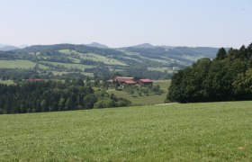 Viewing point at the Dörrhaus, © Marktgemeinde Hofstetten-Grünau Viewing point at the Dörrhaus, © Marktgemeinde Hofstetten-Grünau