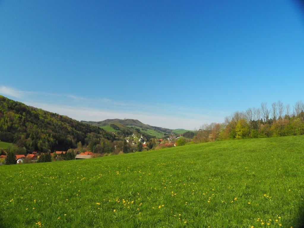 The green Kaumberg