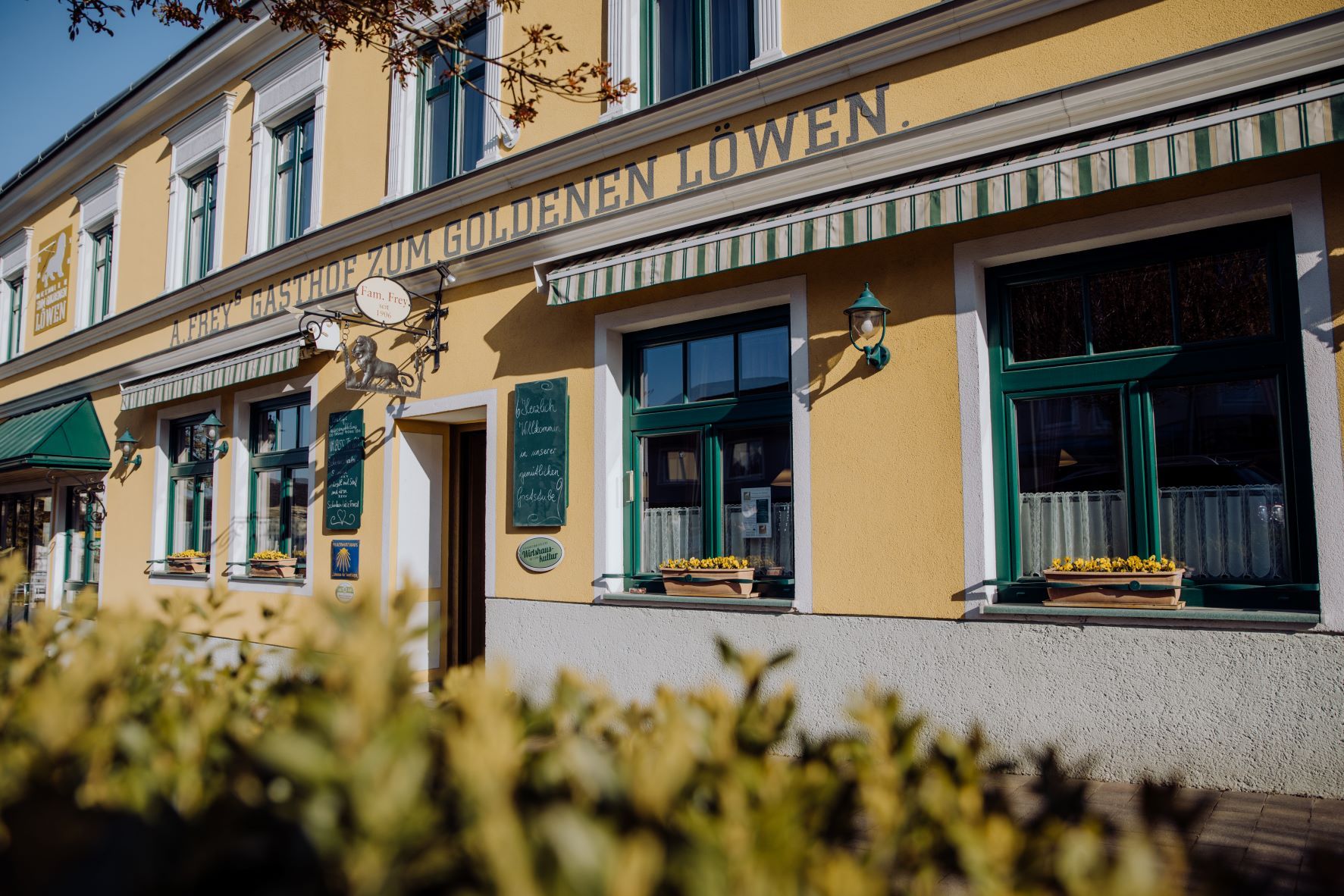 Exterior view of a yellow building with the inscription 'Zum goldenen Löwen'. Windows with flower boxes and green awnings.