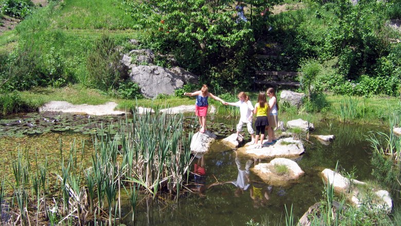 Children play at a pond in the countryside with water lilies and reeds.