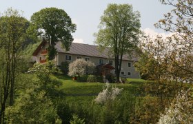 A farm on a green hill, surrounded by trees and flowering shrubs.