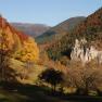 The Vienna Woods, &copy; Gasthaus Bruthenne