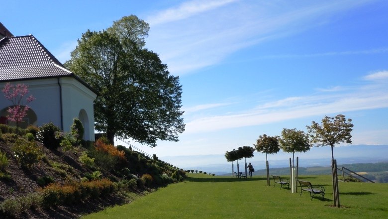 A well-tended garden with trees and benches, next to a building with a red roof, under a blue sky.