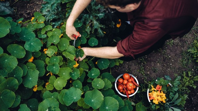Gasthof Alpenblick, &copy; Moststra&szlig;e, dochbodnliacht