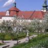 Historic courtyard garden with blossoming trees and a large building in the background.