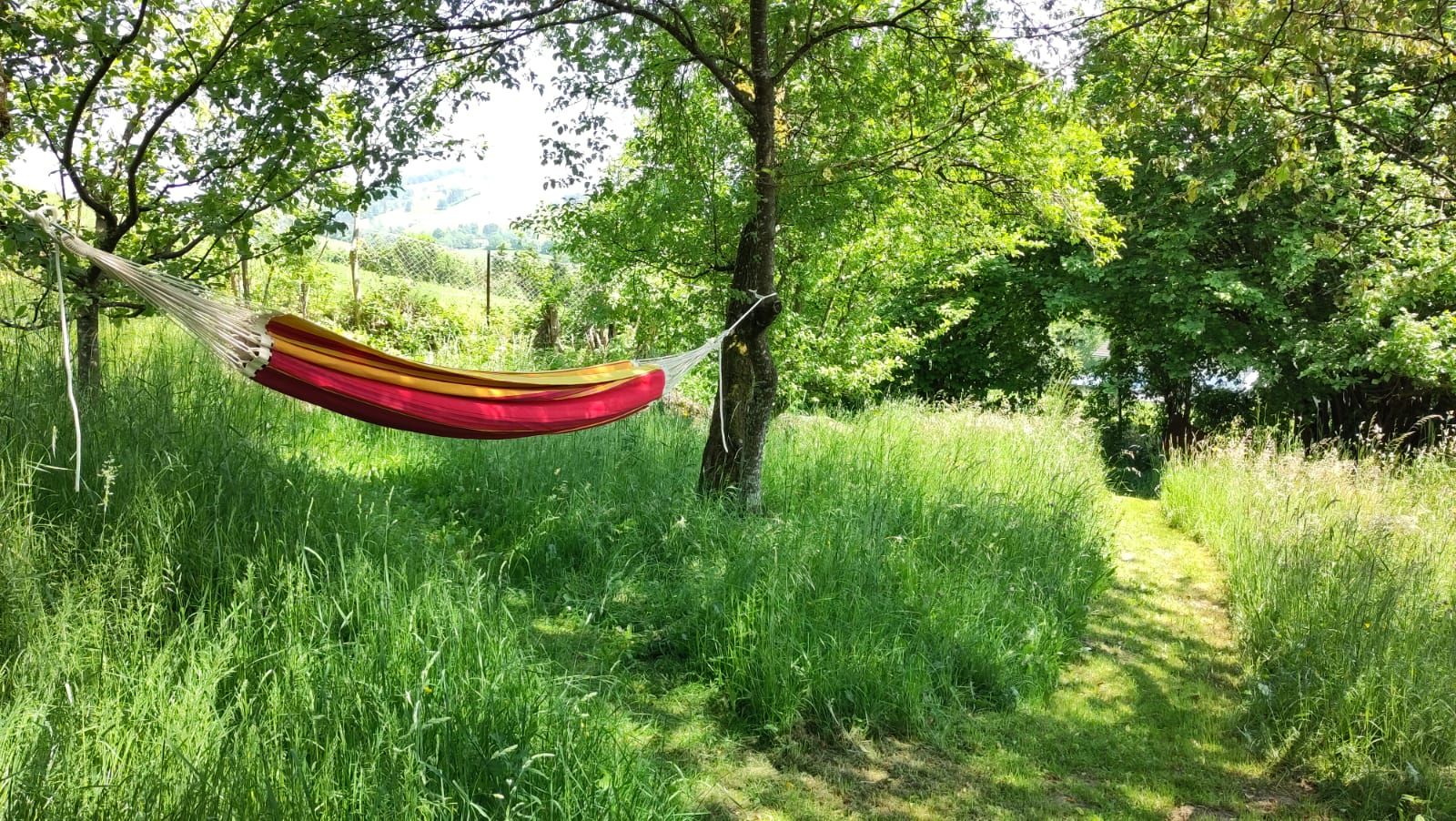 Natural paradise on the Sonntagberg