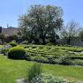 A well-kept garden with a labyrinth of hedges, a large tree and a small building in the background in sunny weather.