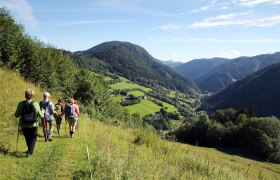 There are many reasons for a pilgrimage, © weinfranz.at