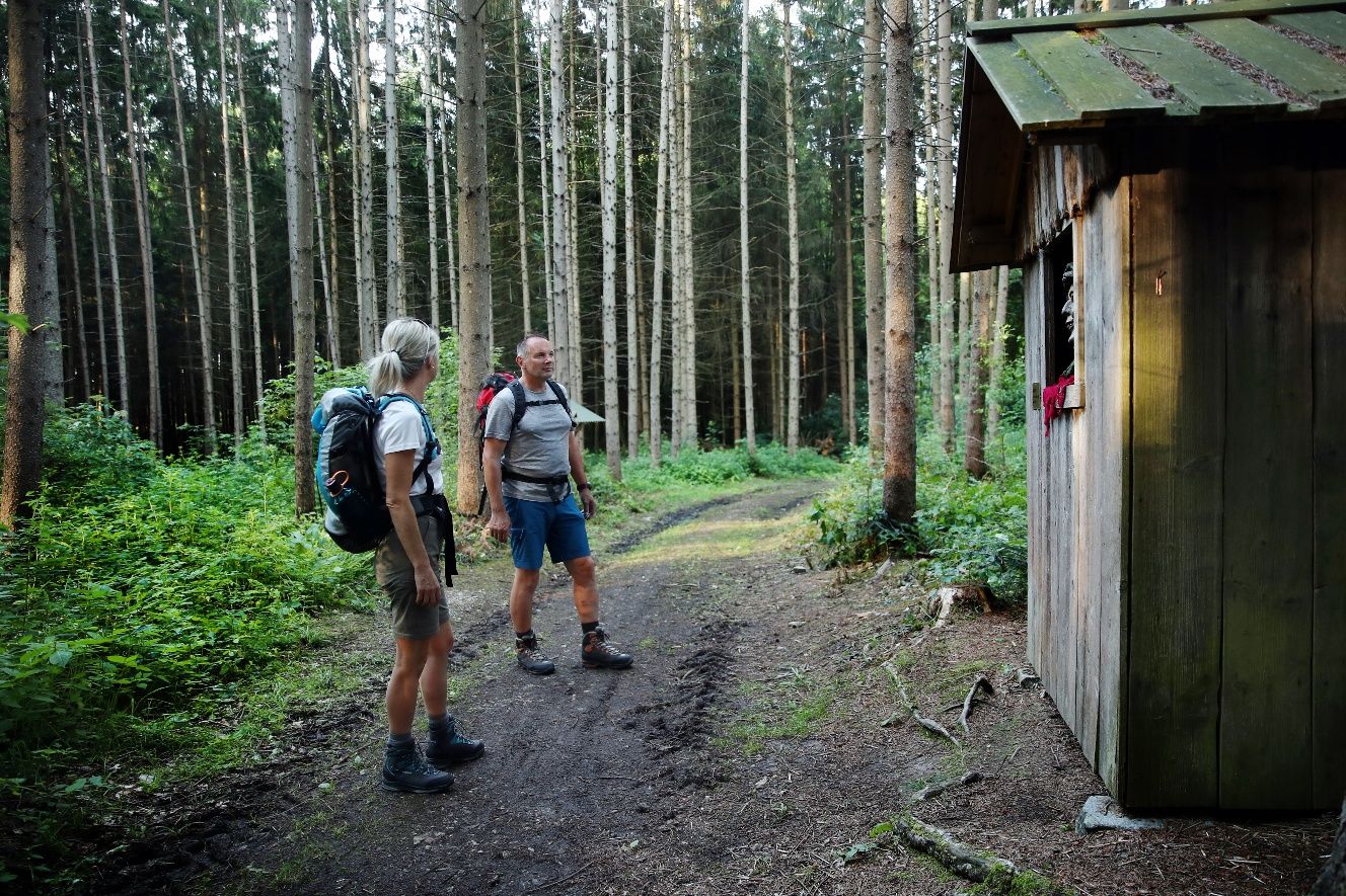 A pilgrimage through the forest