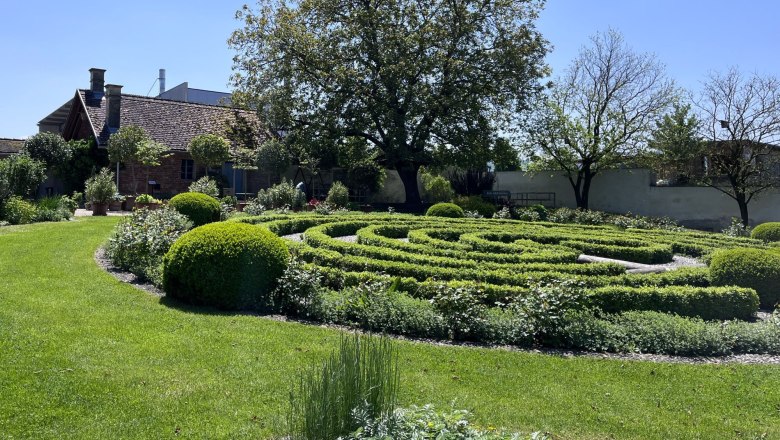 A well-kept garden with a labyrinth of hedges, a large tree and a small building in the background in sunny weather.