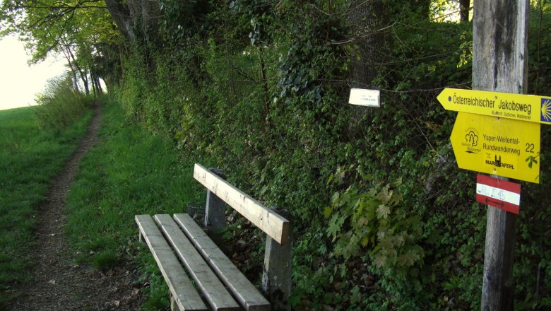 Hiking on the Way of St. James Maria Taferl, &copy; Familie Frey/Zum goldenen L&ouml;wen