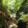 Gorge, &copy; Gasthof Bruthenne