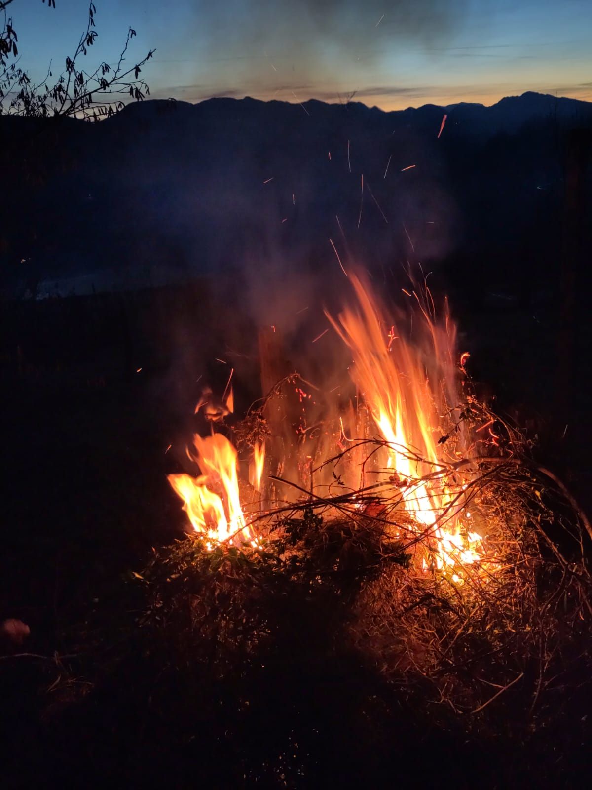 Natural paradise on the Sonntagberg