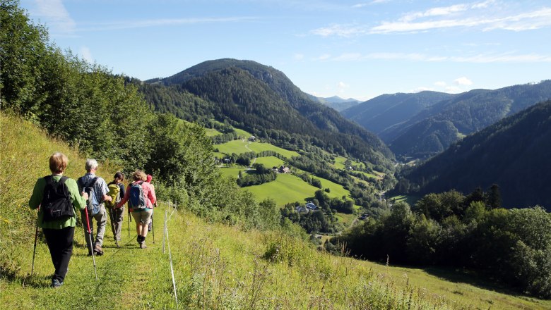 There are many reasons for a pilgrimage, © weinfranz.at