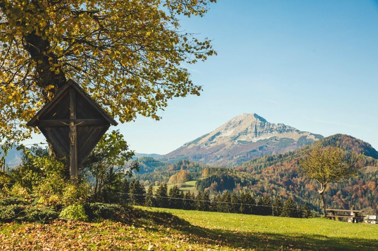 Autumn on Joachimsberg