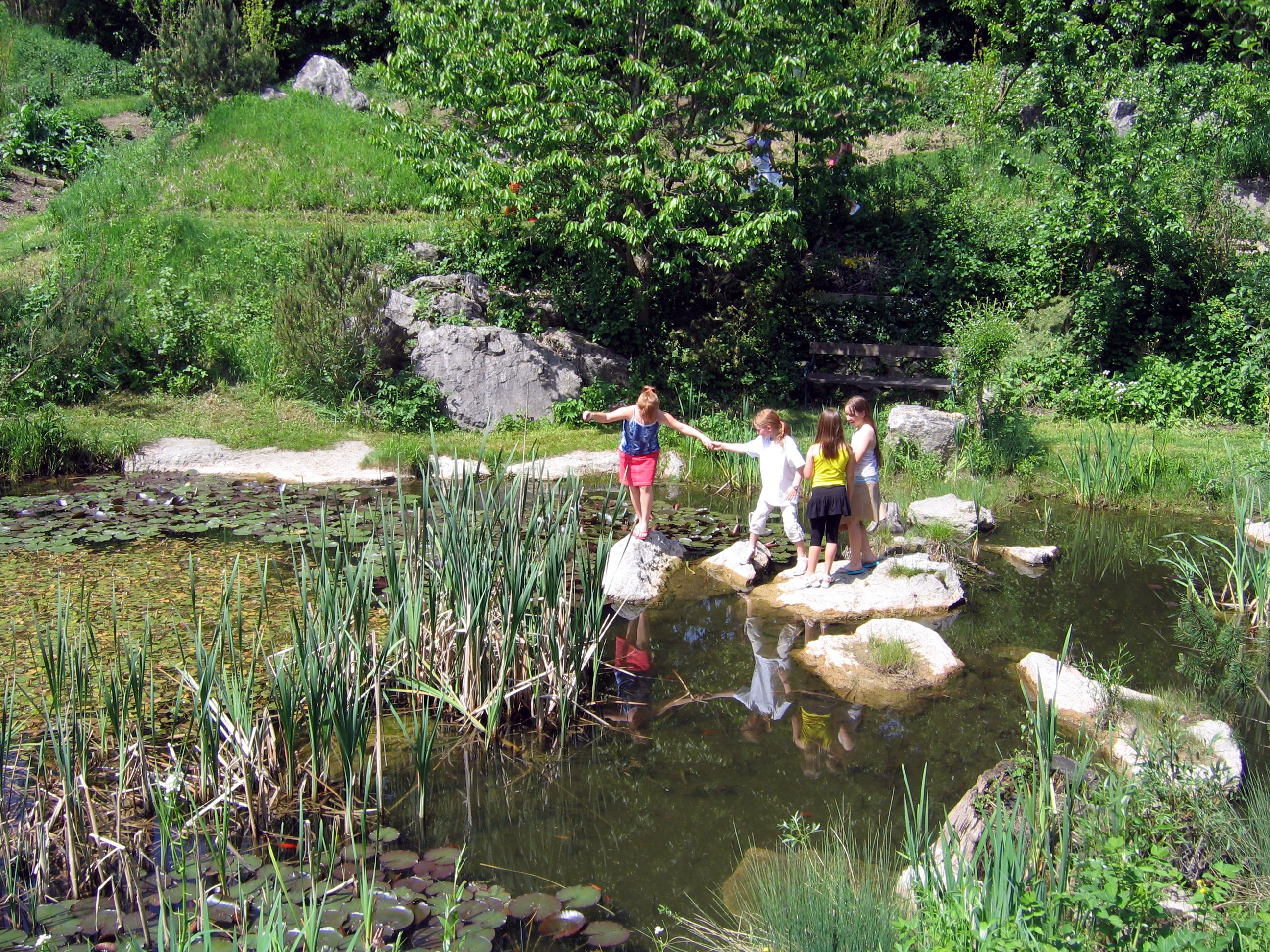 Children play by a pond in the countryside with water lilies and reeds.