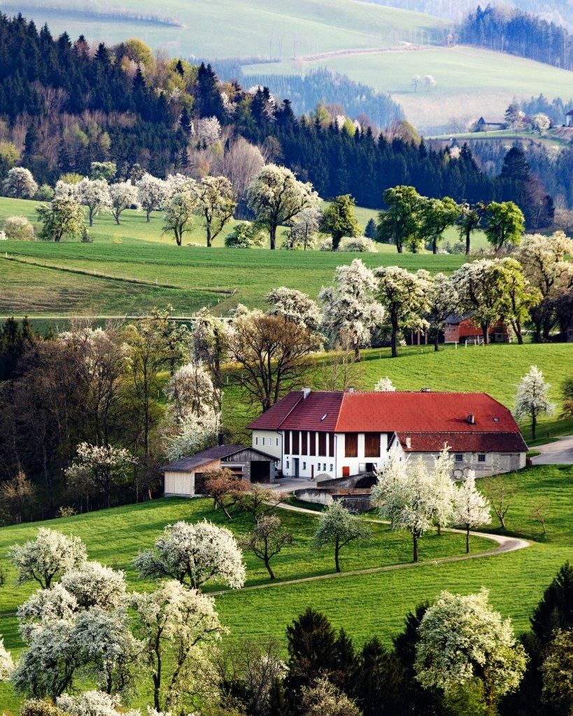 Photo point Karl Lammerhuber View