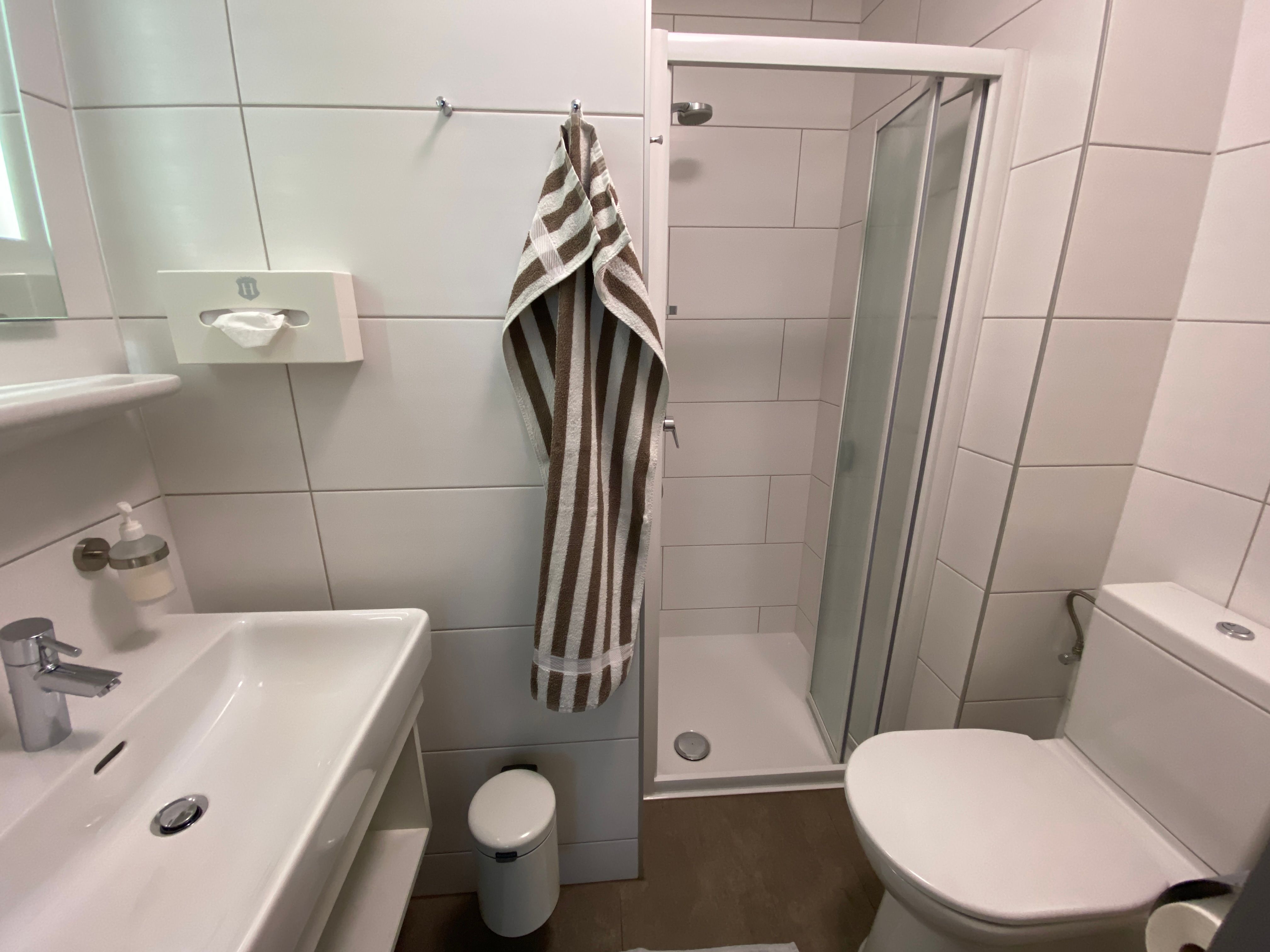 Modern bathroom with shower, washbasin and toilet.
