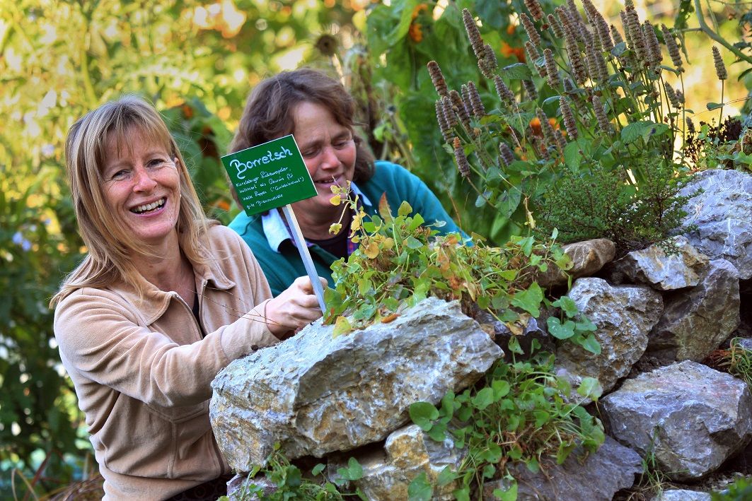Wild herb hotel Steinschalerhof show garden