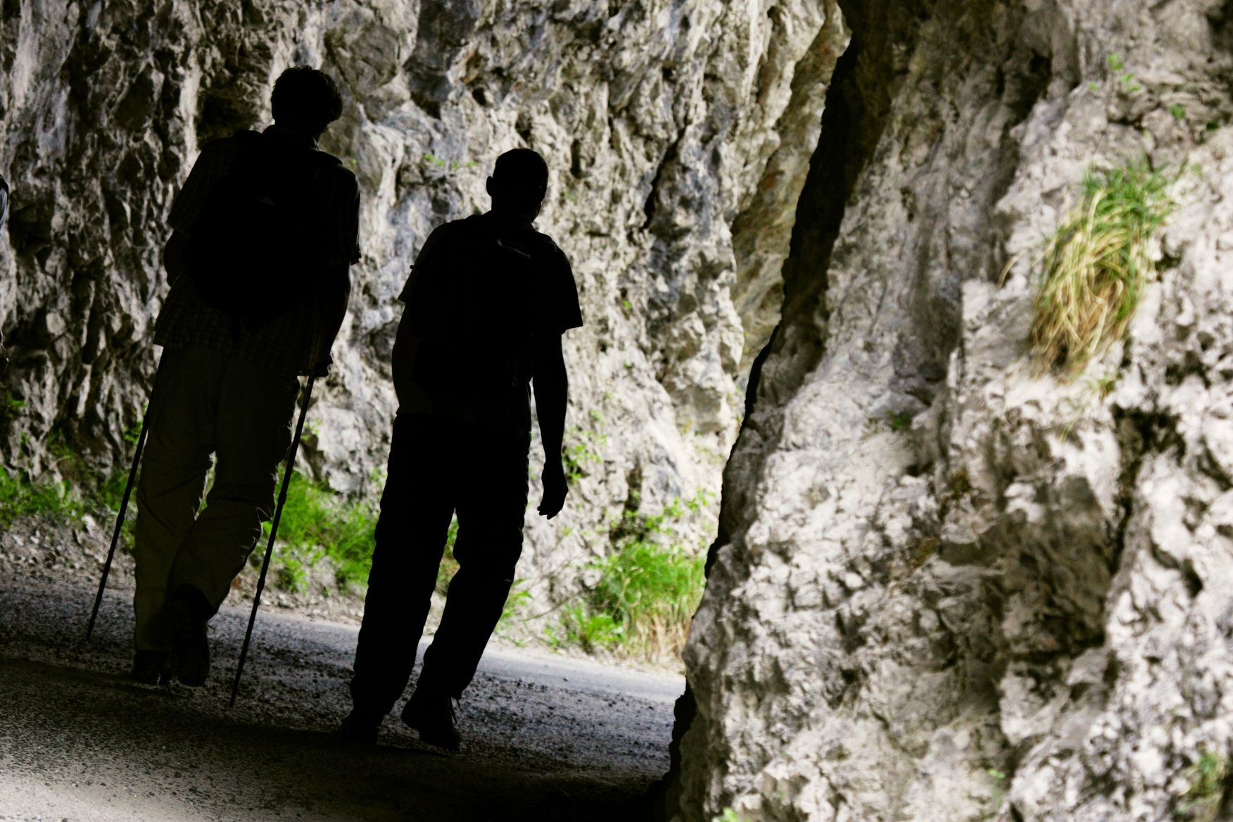 Path through the Walstern