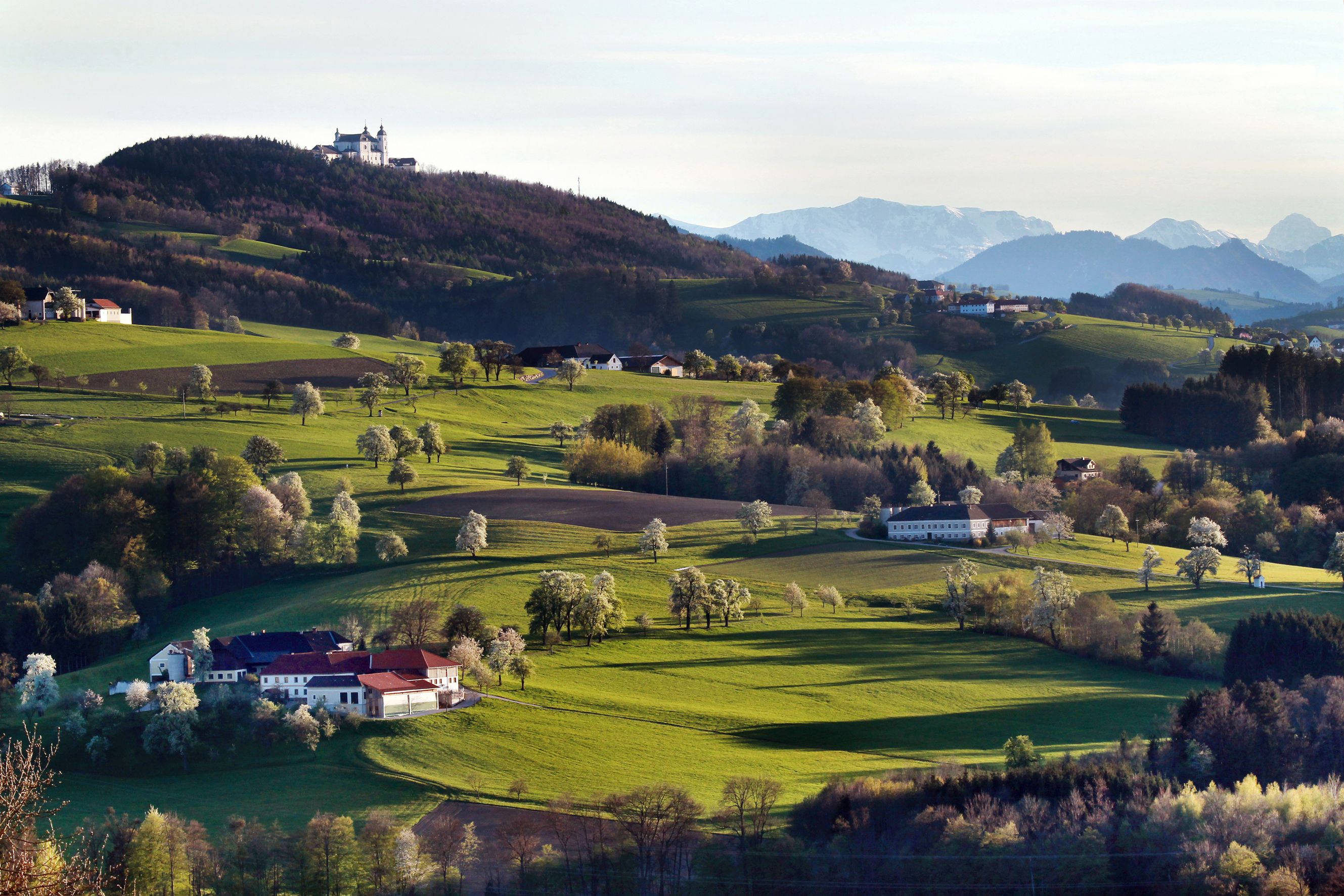 View of the Sonntagberg basilica on a hill, surrounded by green fields and trees, with mountains in the background.