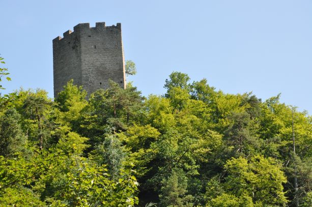 Freyenstein ruins