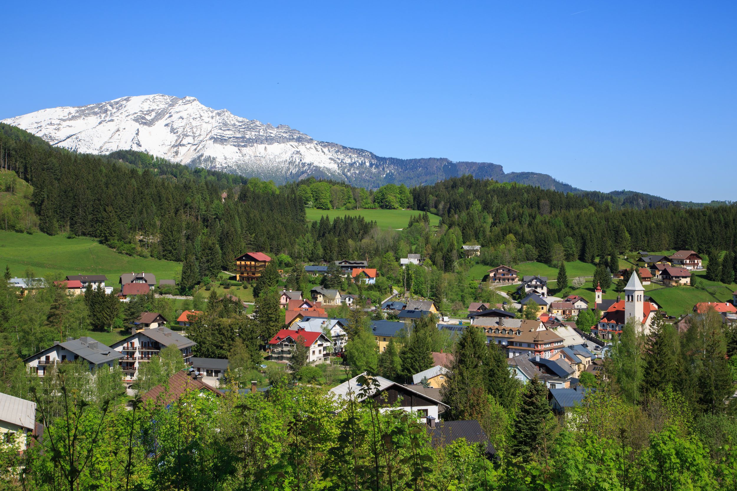 Mitterbach in spring