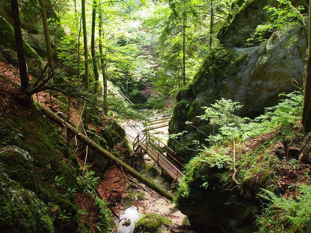 Gorge