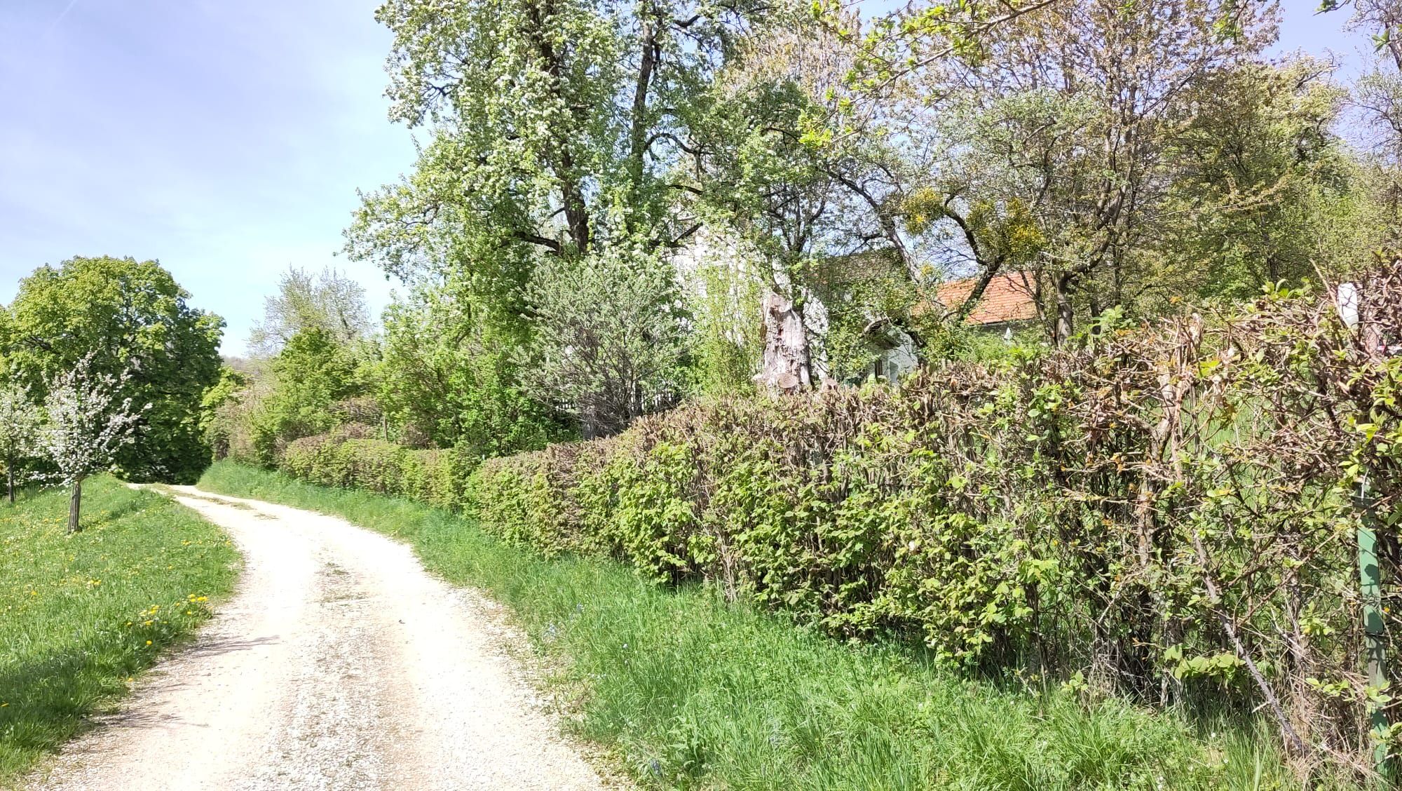 Natural paradise on the Sonntagberg