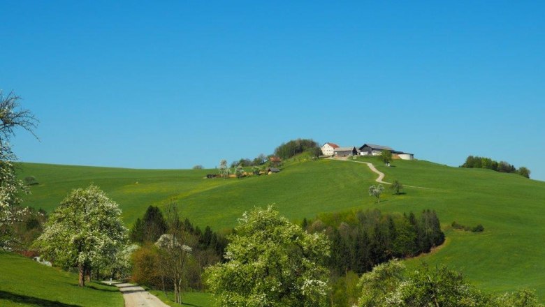 Kaumberg, &copy; Kaumberg/Doris Radinger