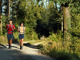 Pilgrims on the Sonntagbergweg, &copy; weinfranz.at