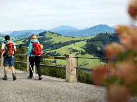 On the Sonntagberg, &copy; weinfranz.at