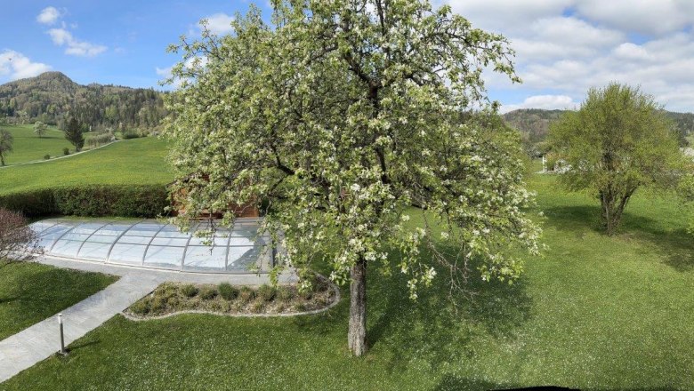 Garden at the Karner house, &copy; Haus Karner