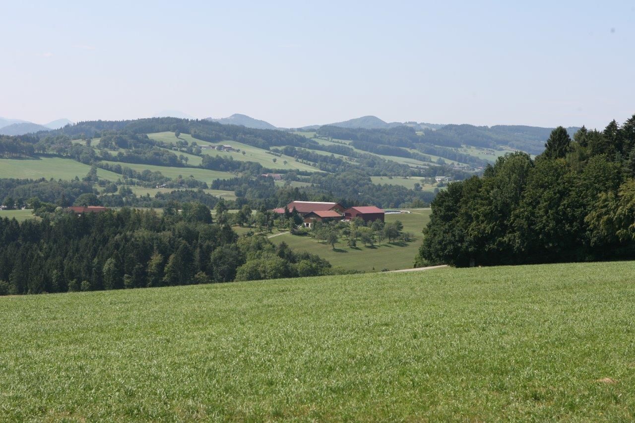 Viewing point at the Dörrhaus