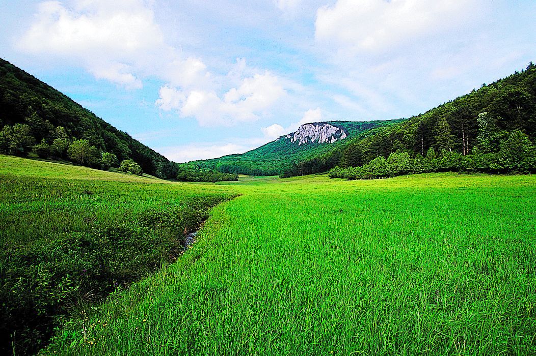 Green meadow with hills and wooded mountains in the background under a blue sky.