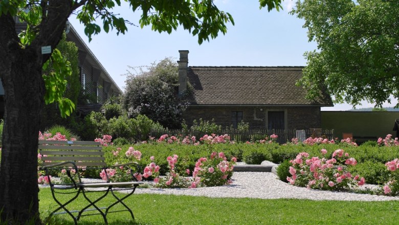 An old building in a garden with blooming roses and a bench in the foreground.
