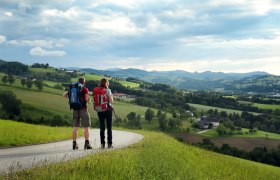 Views along the Via Trinitatis, &copy; Mostviertel