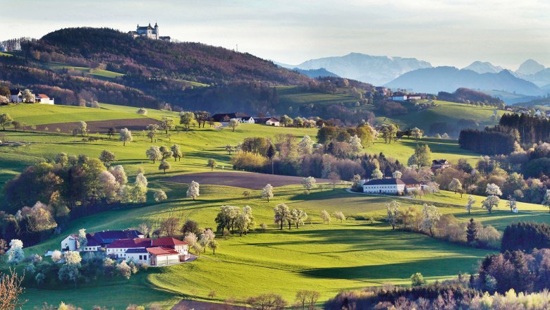Landscape with green hills, scattered houses and a monastery on a hill in the background.