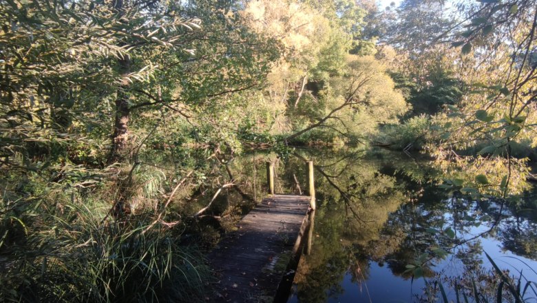 A small wooden footbridge leads to a peaceful pond surrounded by trees.